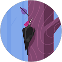 Burgundy Moth Burgundy Moth