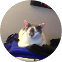 Trey Mansfield Trey Mansfield