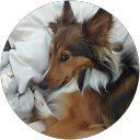 Alyse Raymond Alyse Raymond