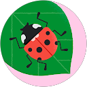 cheryl cone cheryl cone