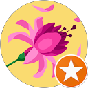 BibiBlackberry BibiBlackberry